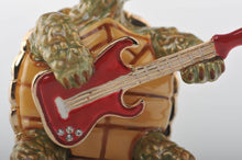 Turtle Playing the Guitar