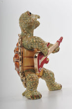 Turtle Playing the Guitar