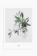 Art Print Photography - Olea