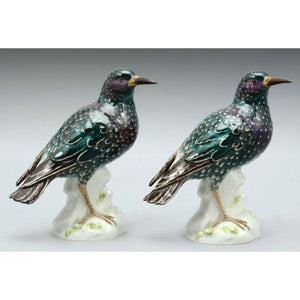 Meissen Porcelain Pair Of Common Starling