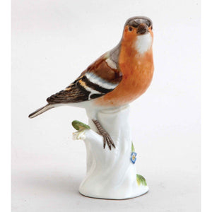A Meissen Porcelain Common Chaffinch Bird