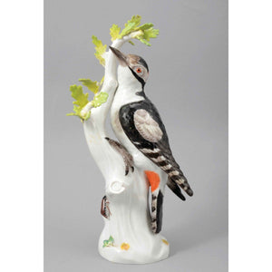 A Meissen Porcelain Great Spotted Woodpecker