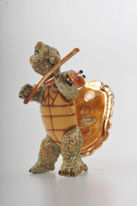 Turtle Playing the Violin