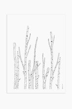 Art Print - Birch Branches