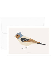 Card - Fringilla Coelebs - Birds no.3