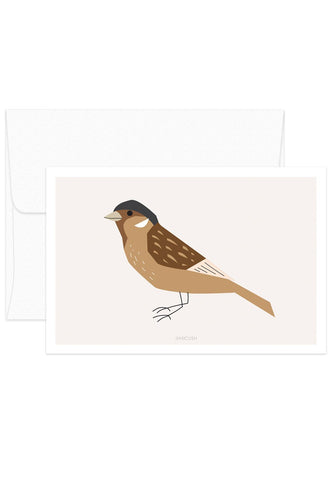 Card - Sparrow Bird - Birds no.4