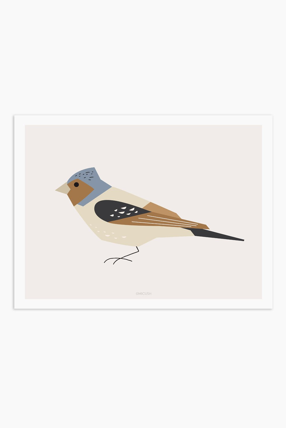 Art Print - Bird - Chaffinch (Fringilla coelebs)