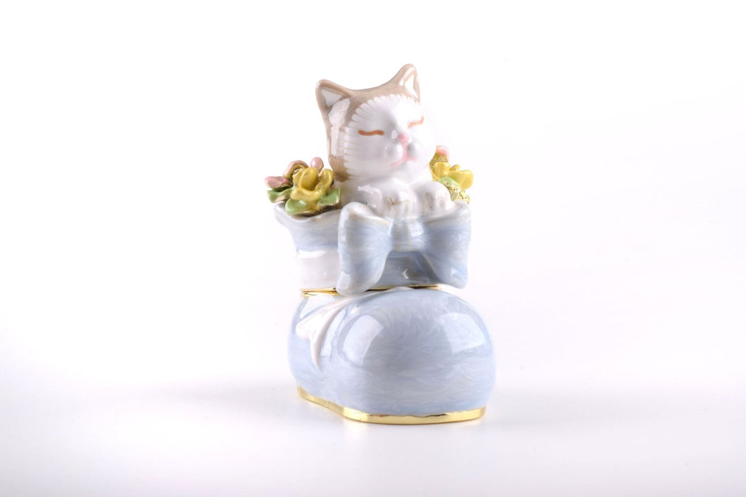 Cat in a Shoe