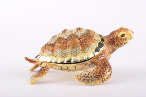 Large Brown Sea Turtle