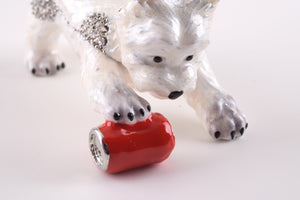 Dog Playing with Can