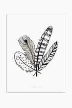 Art Print - Feathers
