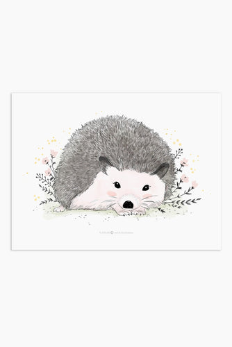 Art Print - Spring Hedgehog - Available Only In Israel!