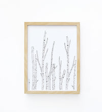 Art Print - Birch Branches