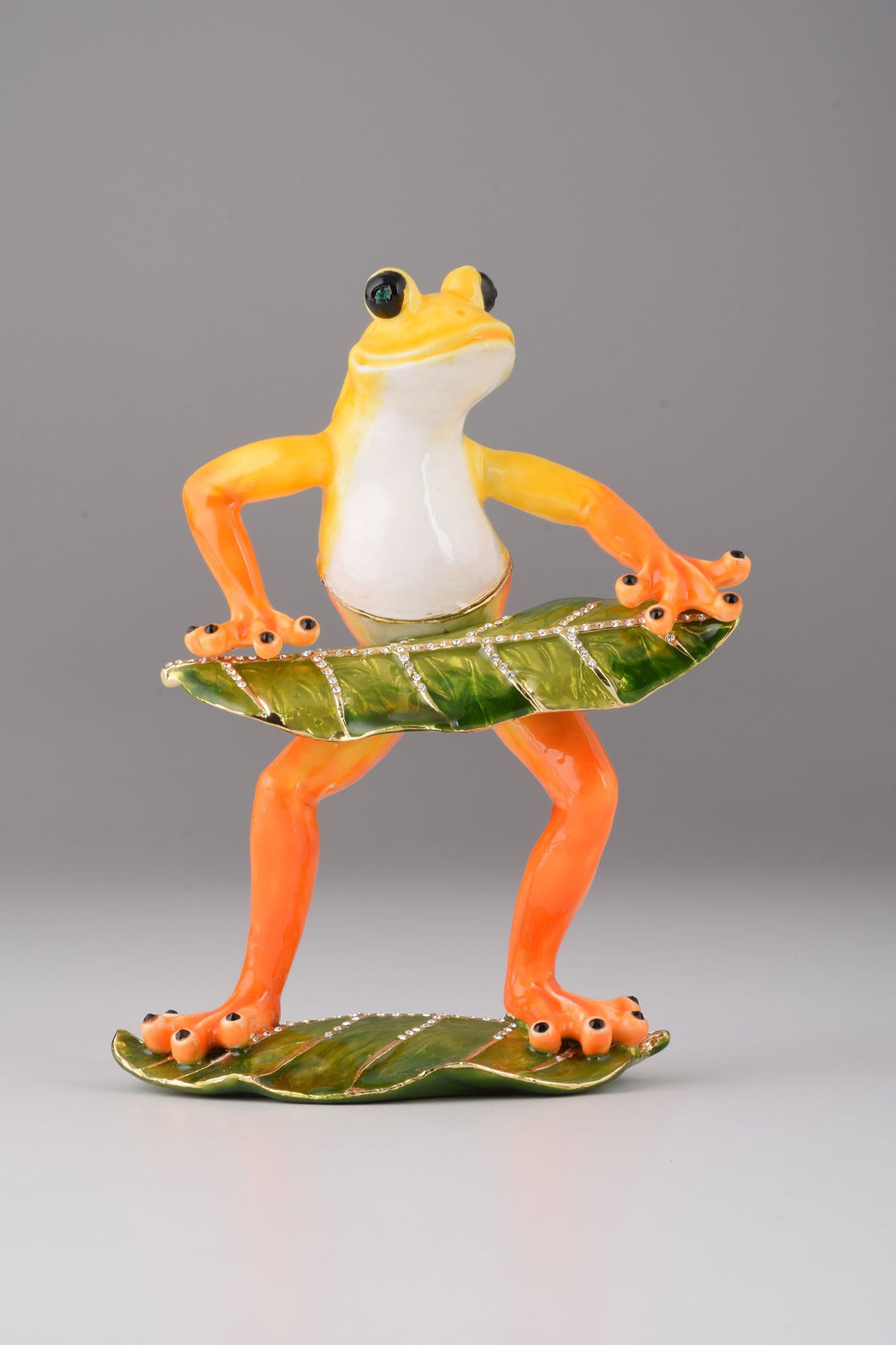 Frog Playing on Keyboards