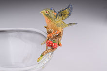Colorful Birds on Glass Plate