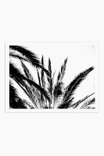 Art Print - Palm No.1