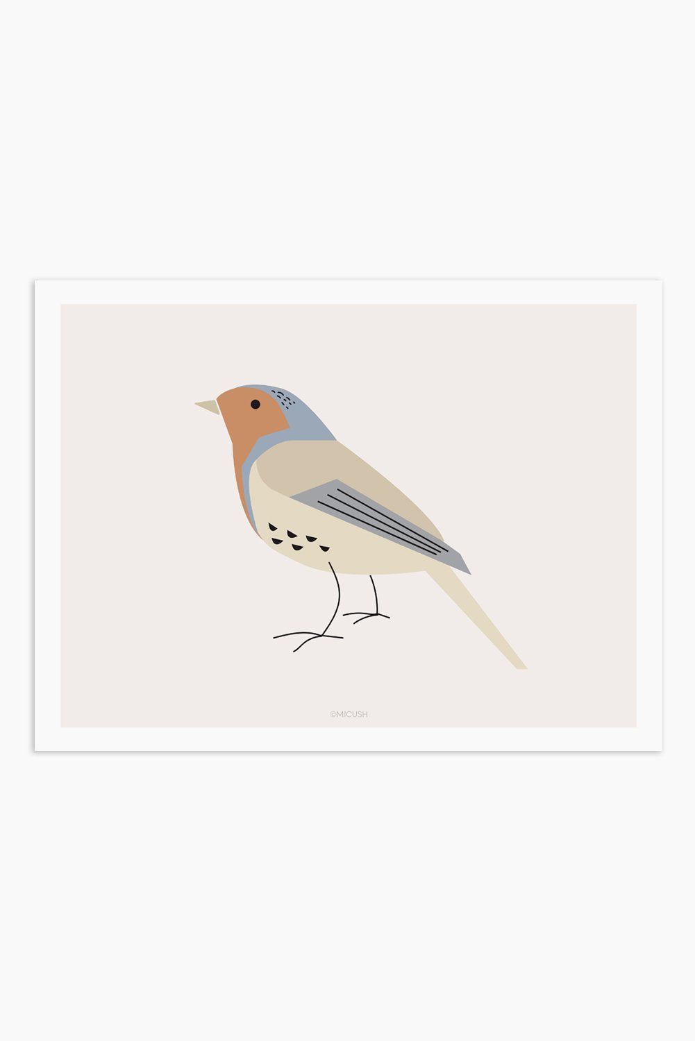 Art Print - Bird - Robin