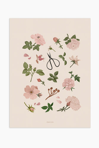 Art Print - Roses