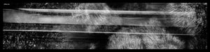 The Panoramic Scarf #2 silk rectangular black white 45x180 full view