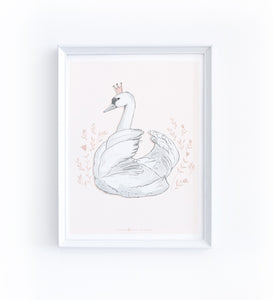 Art Print - White Swan - Available Only In Israel!
