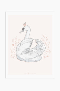 Art Print - White Swan - Available Only In Israel!