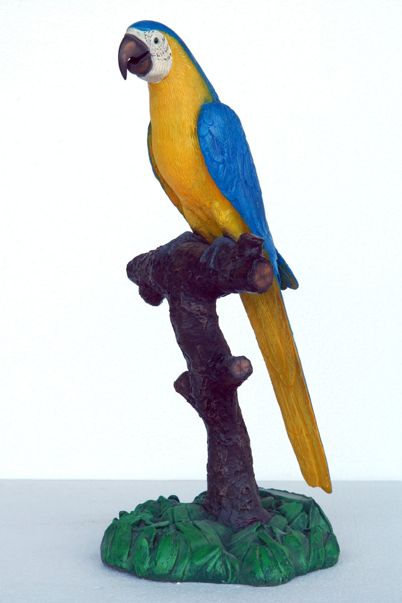 Blue & Gold Macaw Blue & Yellow Parrot