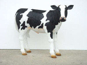 Calf Standing