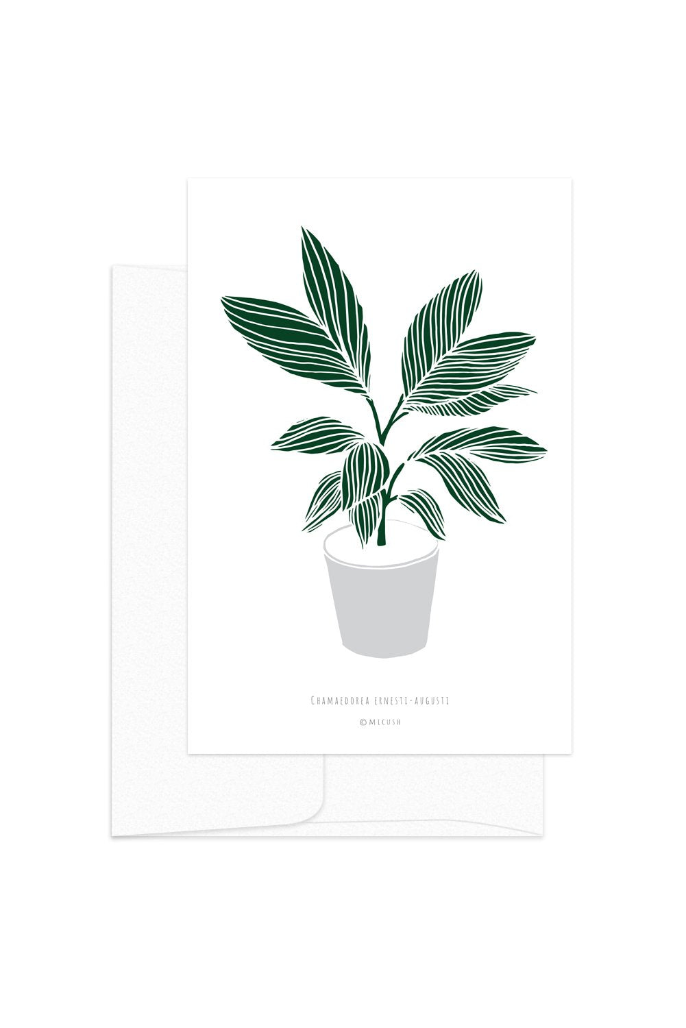 Card - Botanical - Chamaedorea