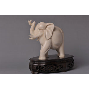 Mammoth Ivory - Elephant