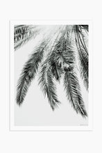 Art Print Photography - Palm No.2