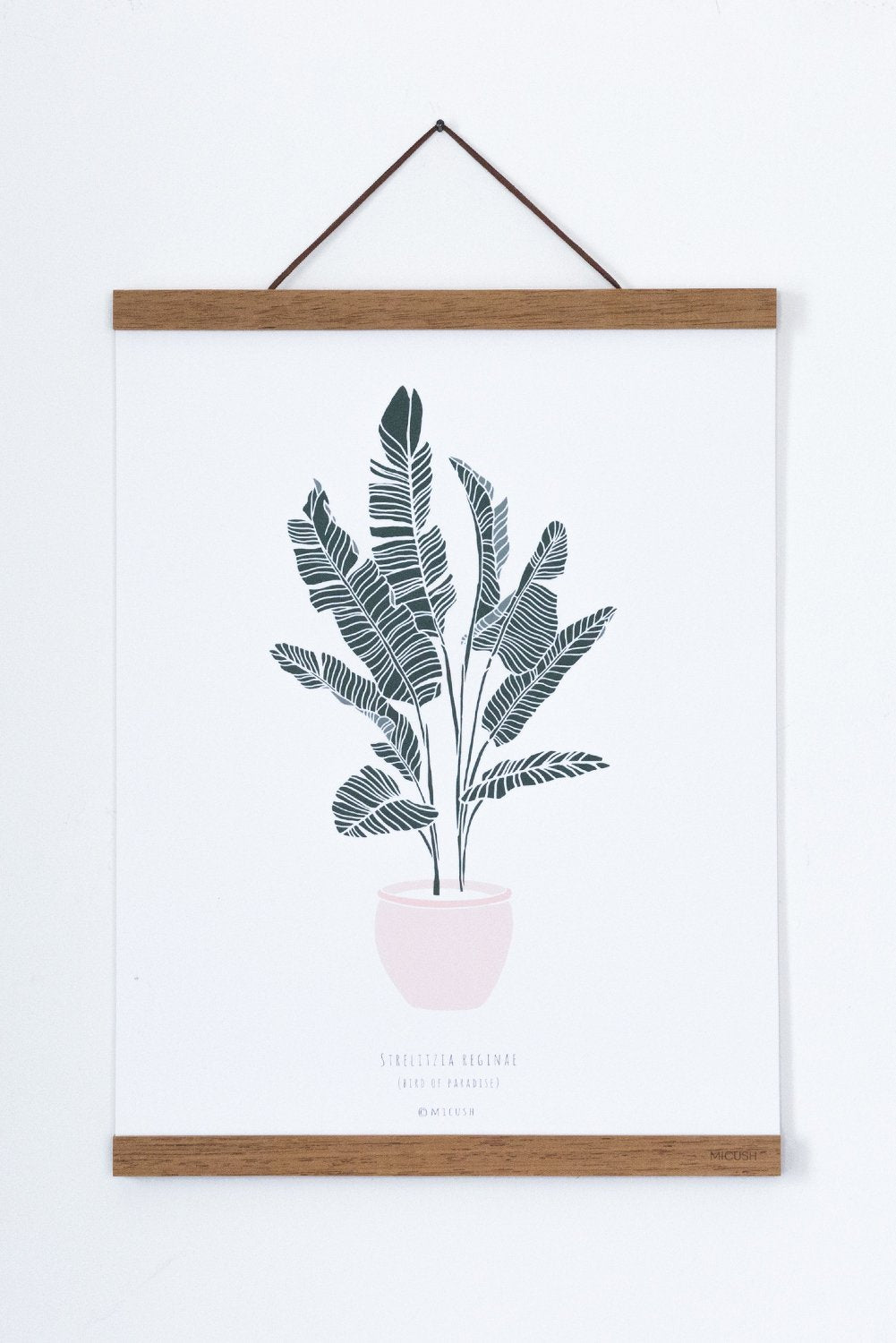 Wooden Frames - Oak shade